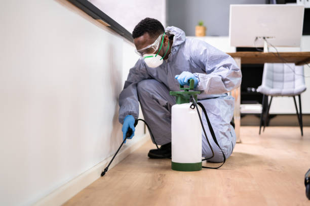 Best Residential Pest Control  in Berkley, MI